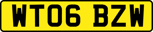WT06BZW