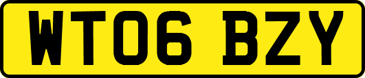 WT06BZY