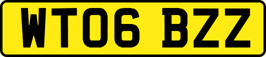WT06BZZ