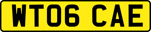 WT06CAE