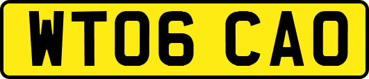 WT06CAO