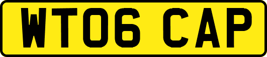 WT06CAP
