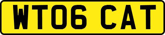 WT06CAT