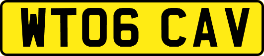 WT06CAV