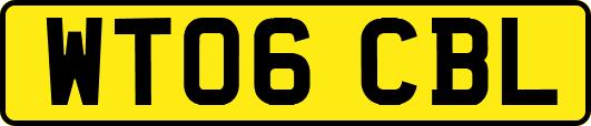 WT06CBL