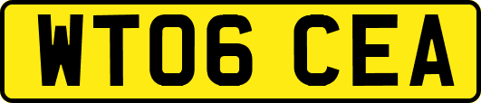 WT06CEA