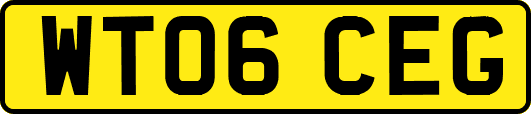 WT06CEG
