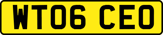 WT06CEO