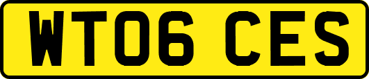 WT06CES