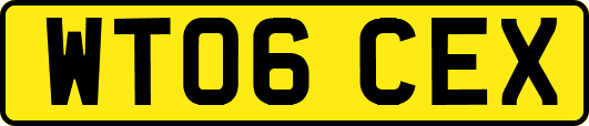 WT06CEX