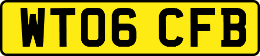 WT06CFB