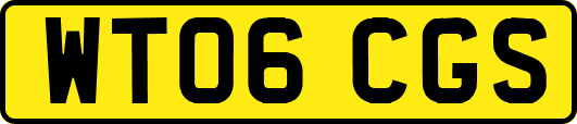 WT06CGS