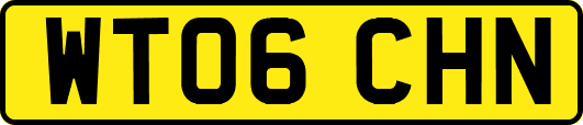 WT06CHN