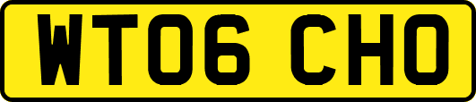 WT06CHO