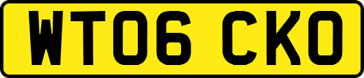 WT06CKO