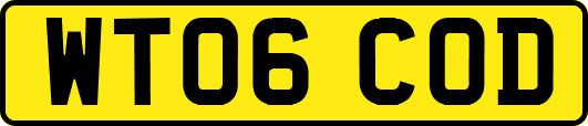 WT06COD
