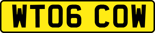 WT06COW