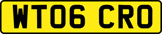 WT06CRO