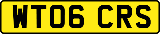 WT06CRS