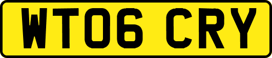 WT06CRY