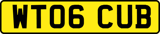 WT06CUB