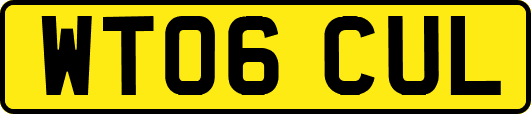 WT06CUL