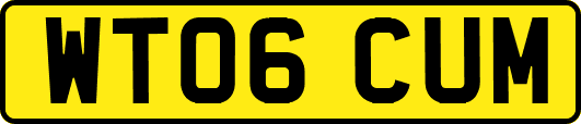 WT06CUM