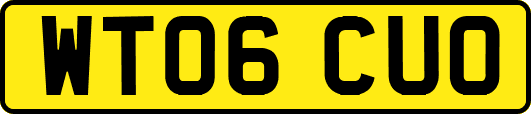 WT06CUO