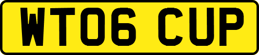 WT06CUP