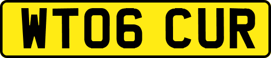 WT06CUR