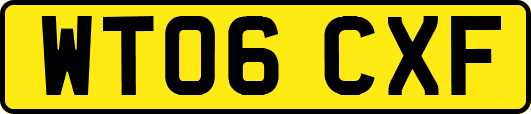 WT06CXF