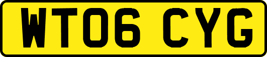 WT06CYG
