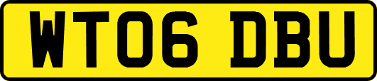 WT06DBU