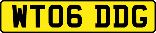 WT06DDG