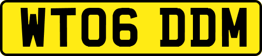 WT06DDM