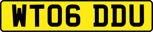 WT06DDU
