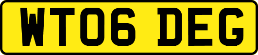 WT06DEG