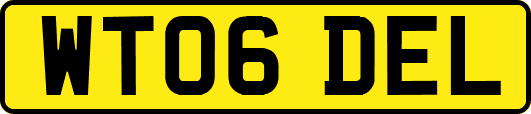 WT06DEL