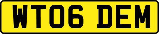WT06DEM