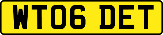 WT06DET