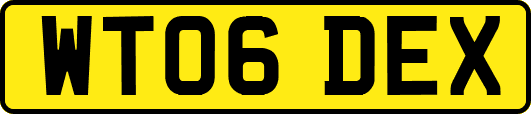 WT06DEX