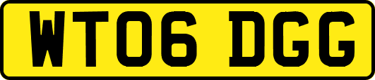 WT06DGG