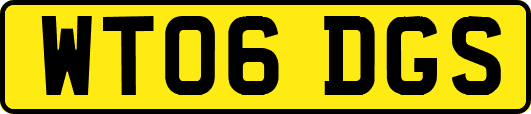 WT06DGS