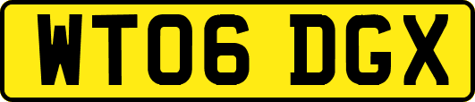 WT06DGX
