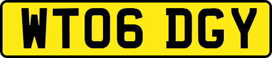 WT06DGY