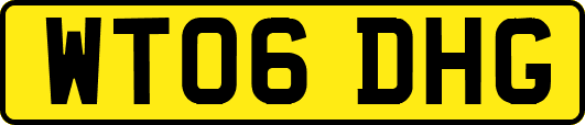 WT06DHG