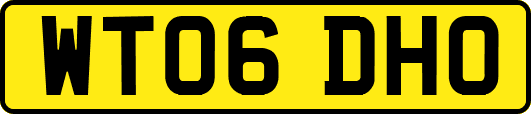 WT06DHO
