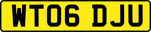 WT06DJU