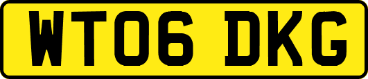 WT06DKG