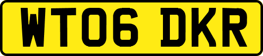 WT06DKR